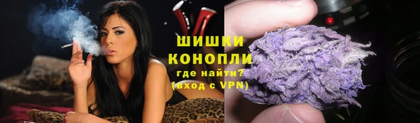прущая мука Верея