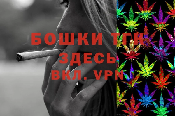 стаф Бородино