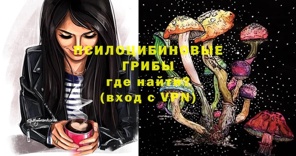 прущая мука Верея
