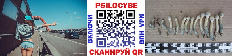 Галлюциногенные грибы Cubensis  блэк спрут как войти  Черняховск  даркнет сайт 